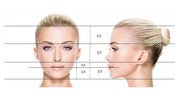 Анализ на лицето при естетичната операция на носа